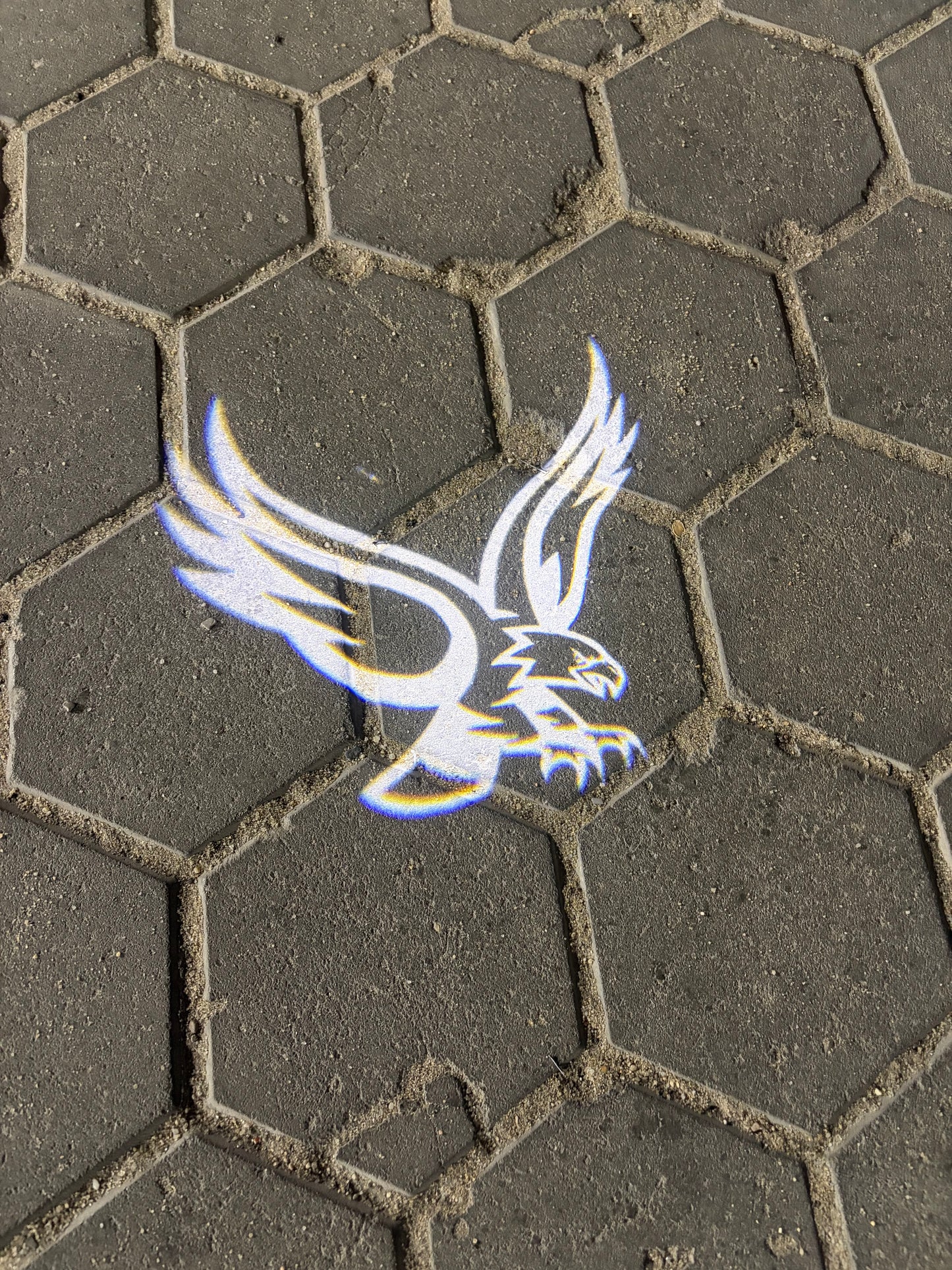 Eagle Welcome Door Lights