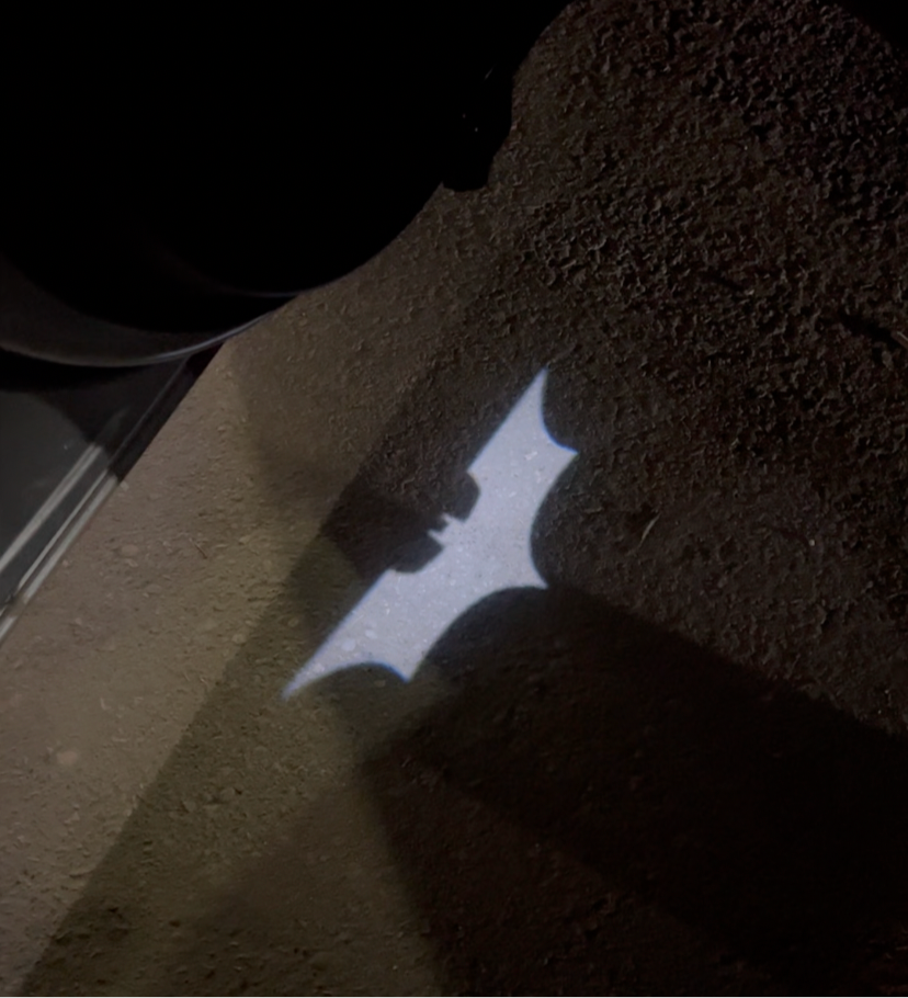 Batman II Welcome Door Lights