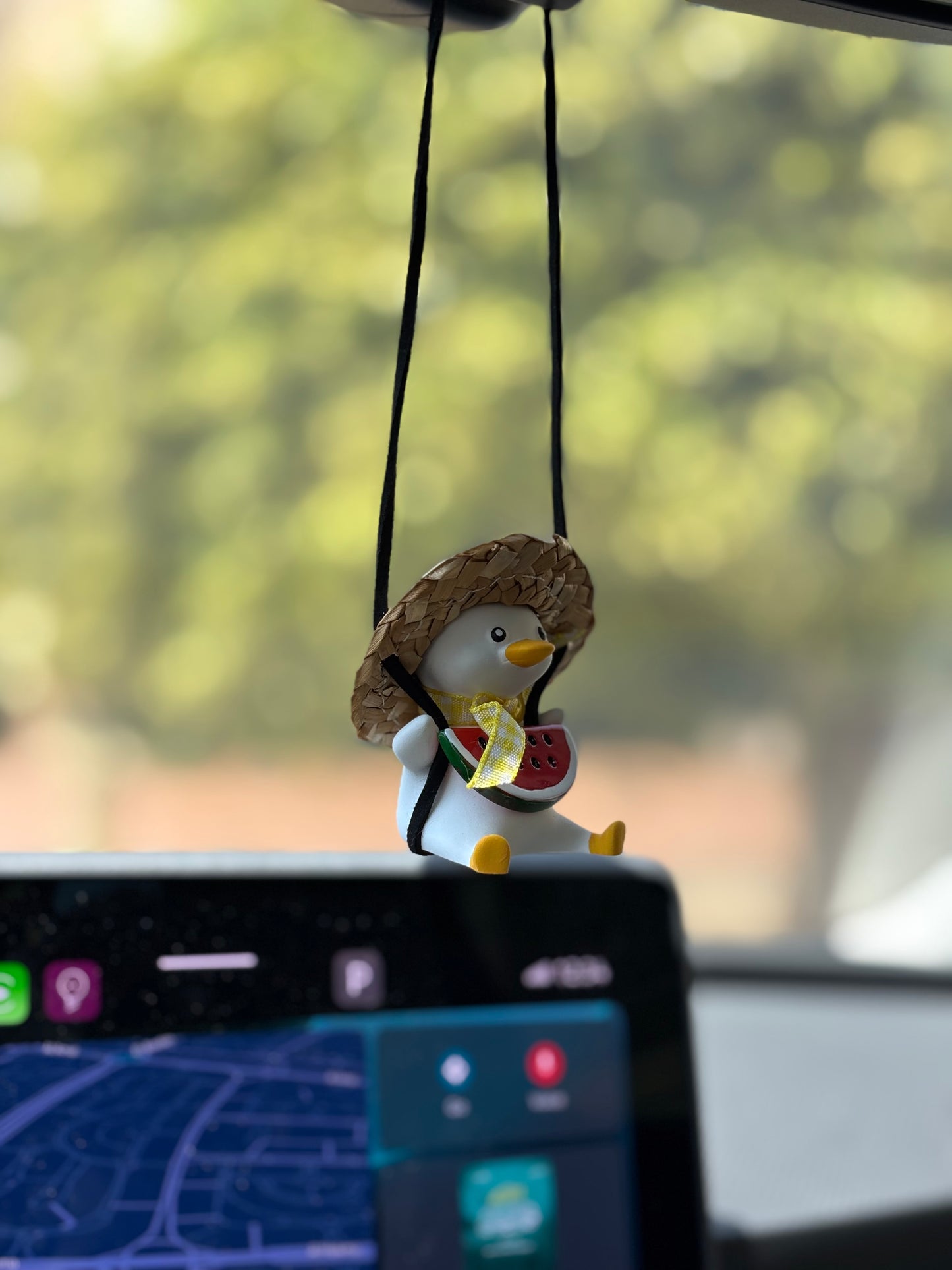 Watermelon Duck Mirror Pendant