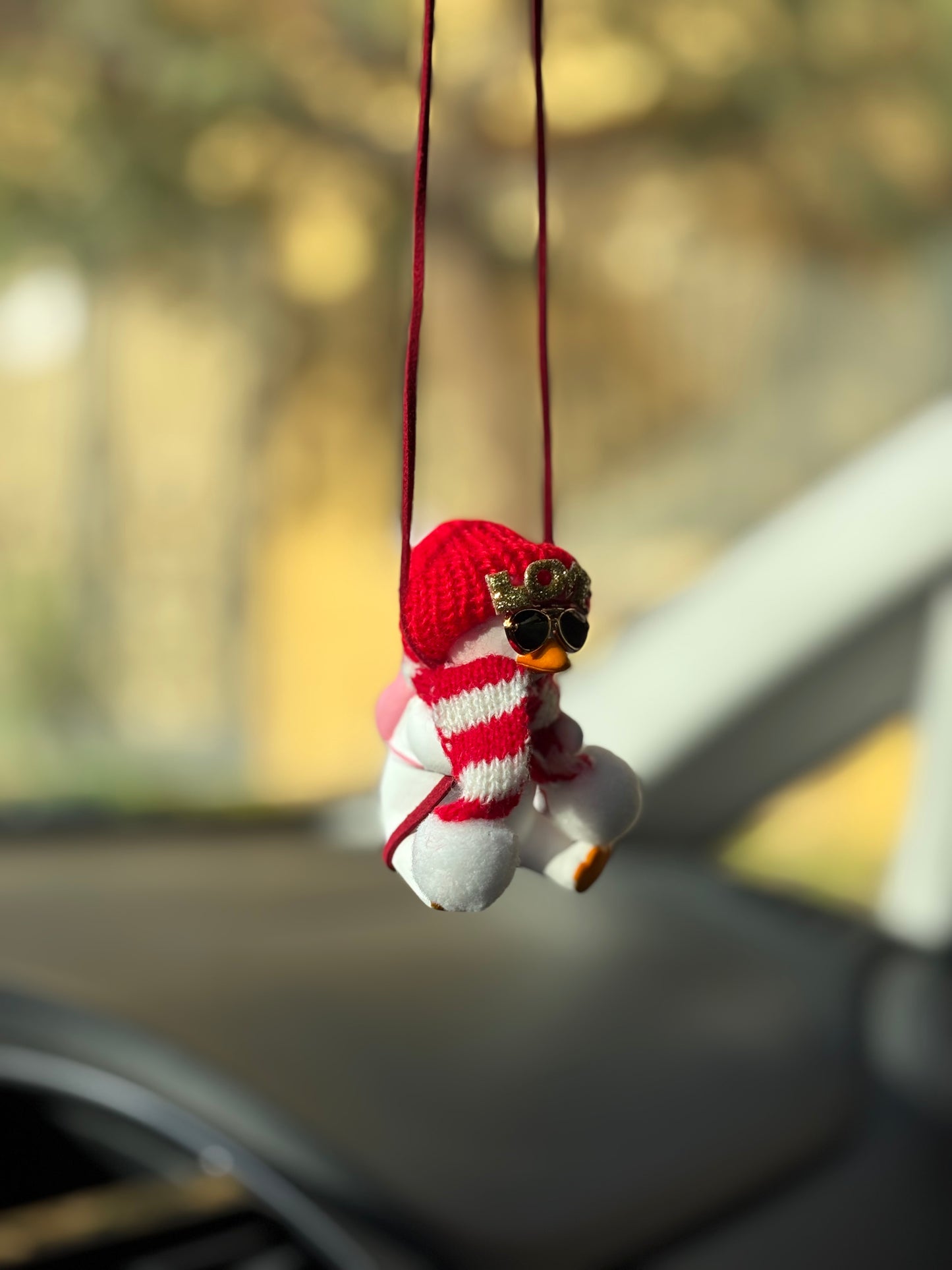 Love Duck Mirror Pendant