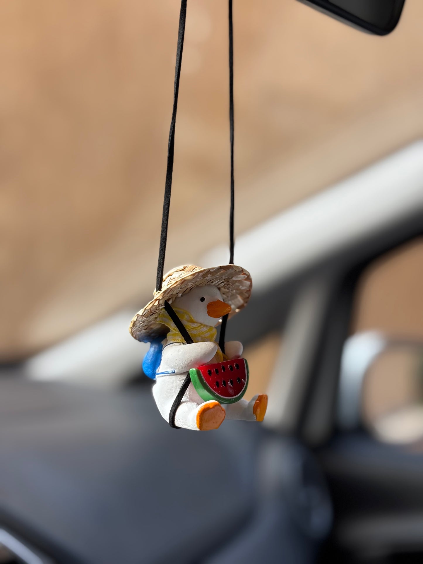 Watermelon Duck Mirror Pendant