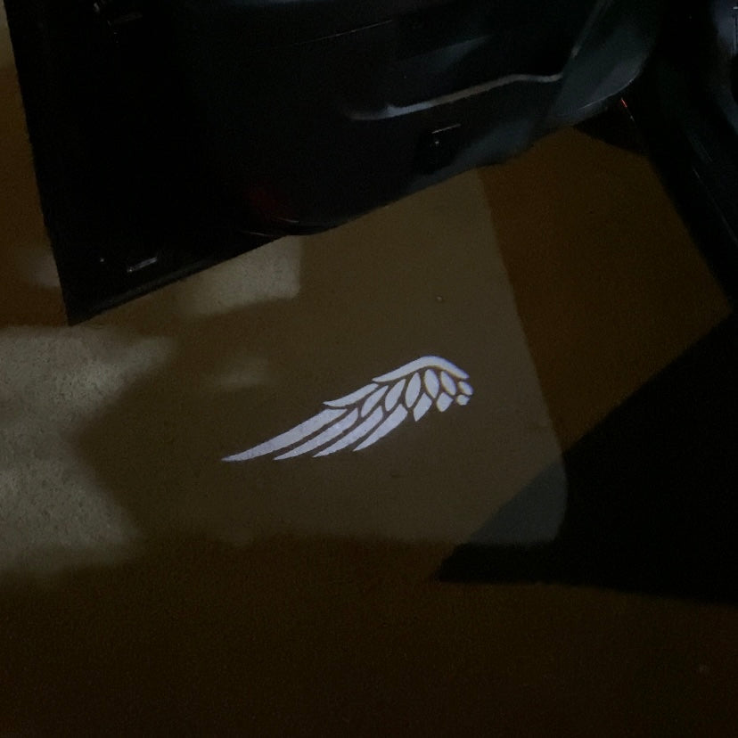 Wings Welcome Door Lights