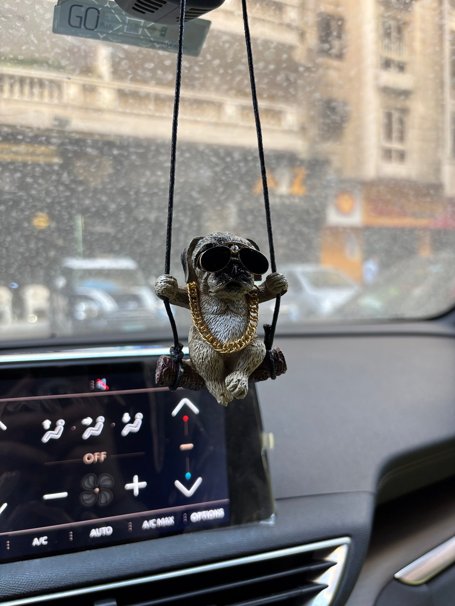 Cool Dog Mirror Pendent