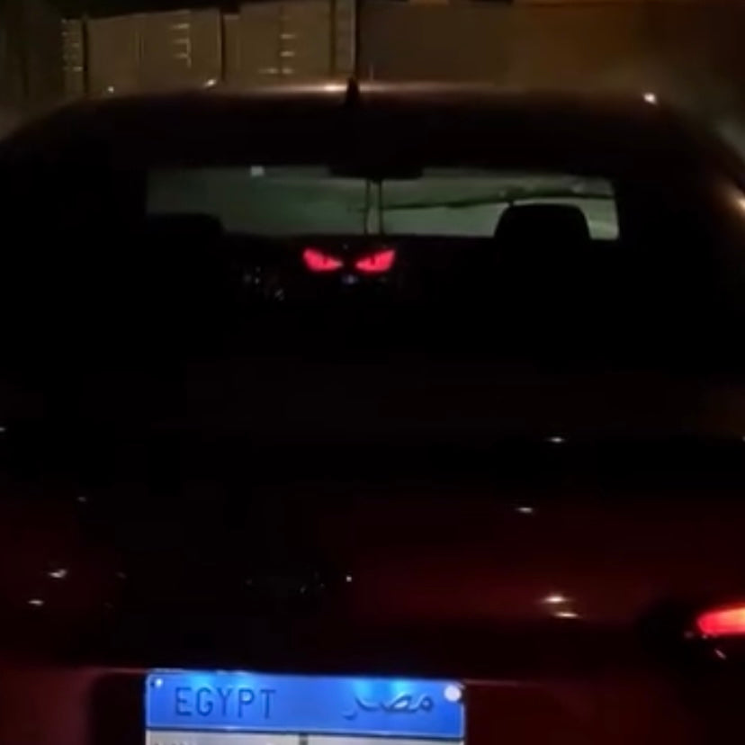 LED Screen (20CM)