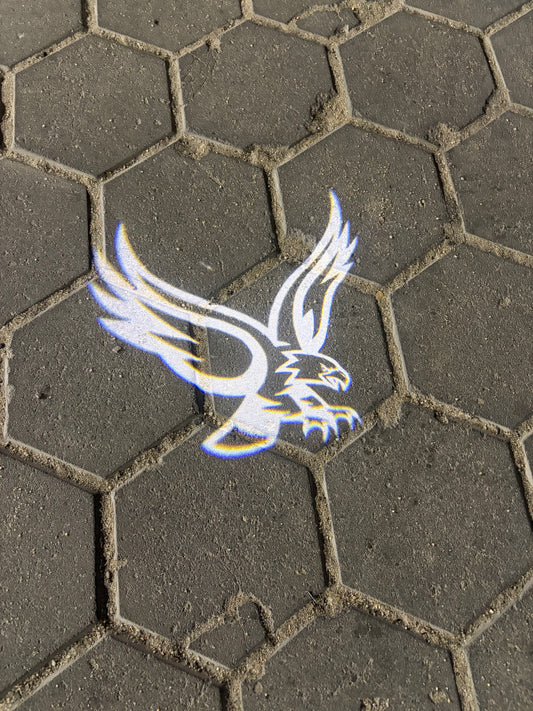Eagle Welcome Door Lights