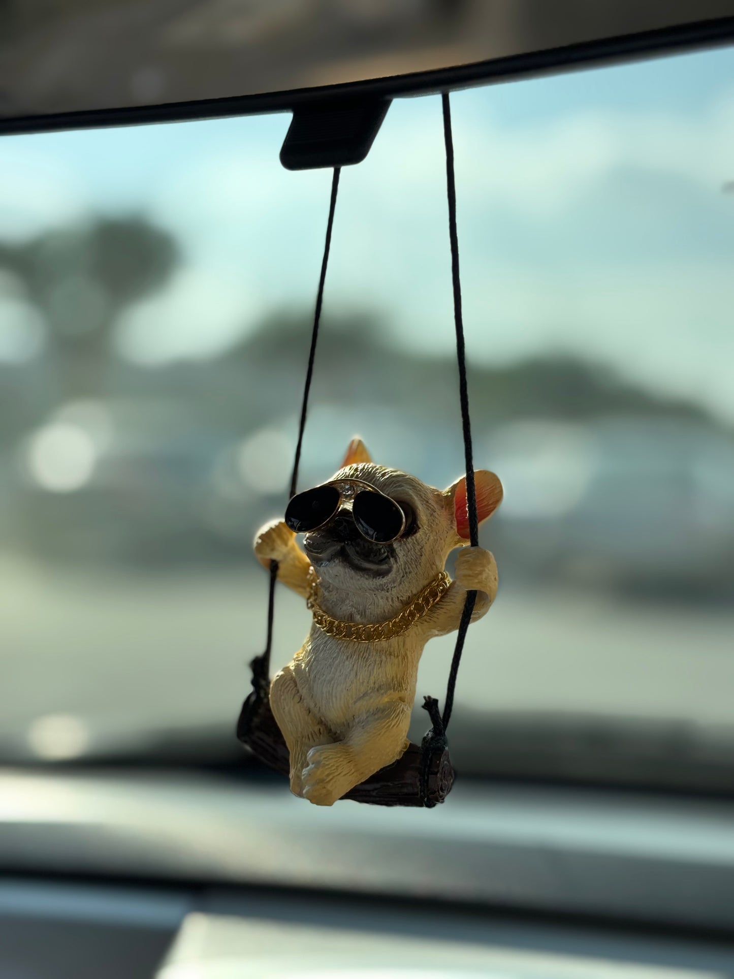 Cool Dog Mirror Pendent