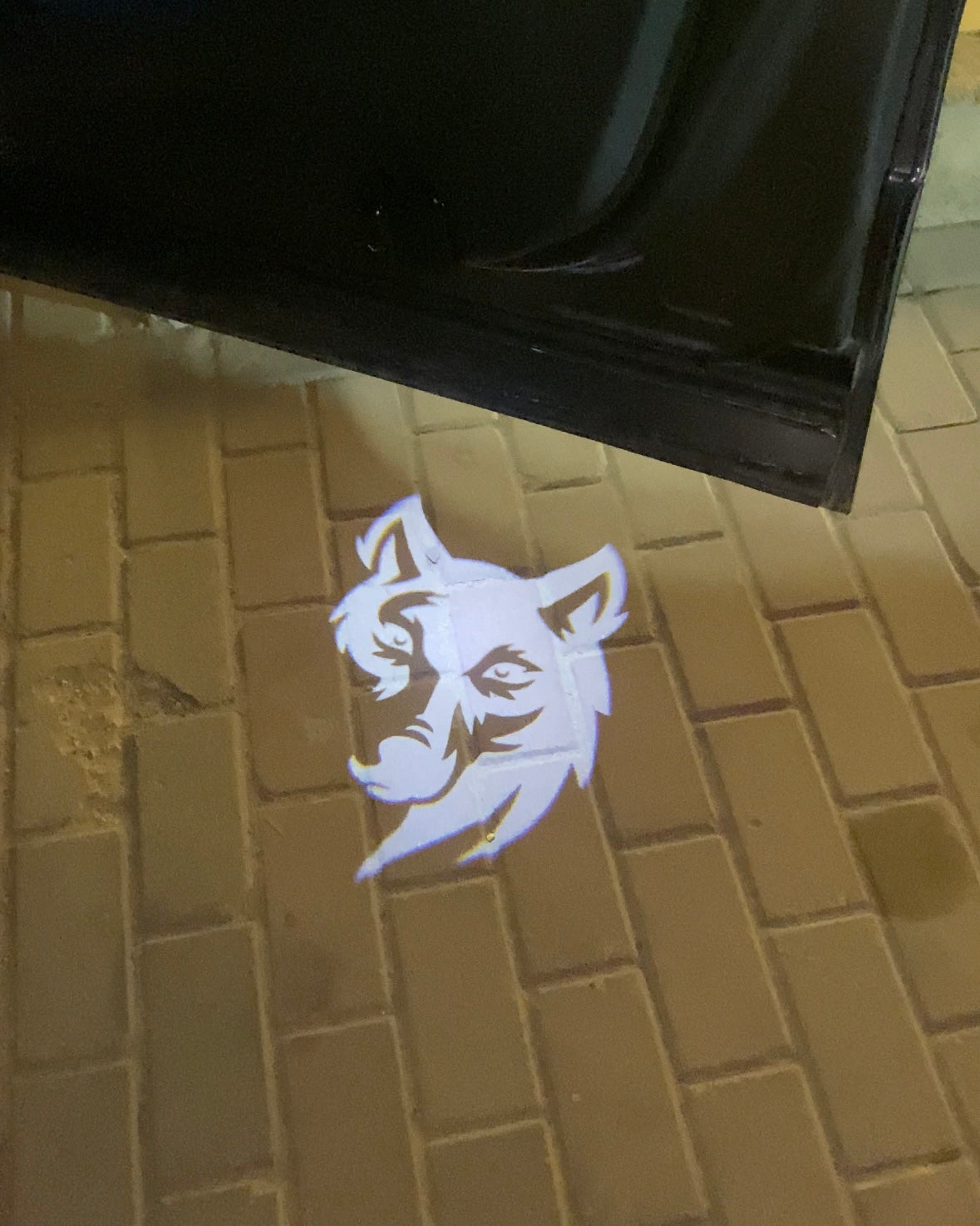 Wolf Welcome Door Lights