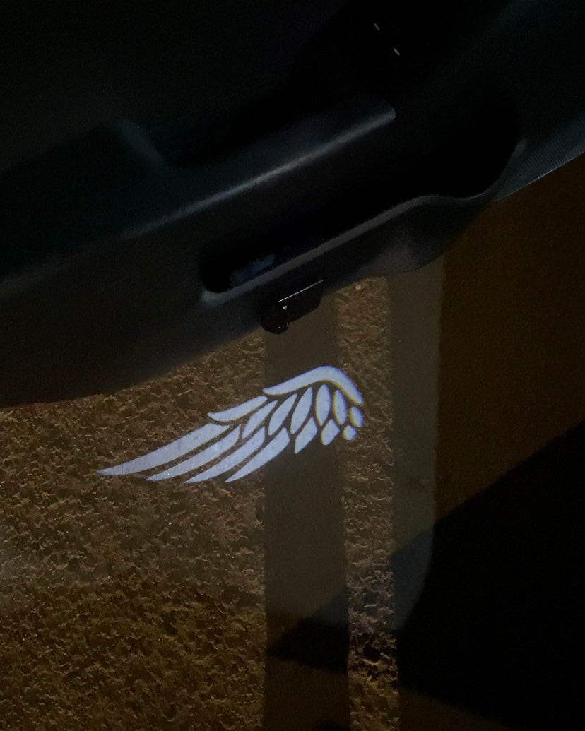 Wings Welcome Door Lights