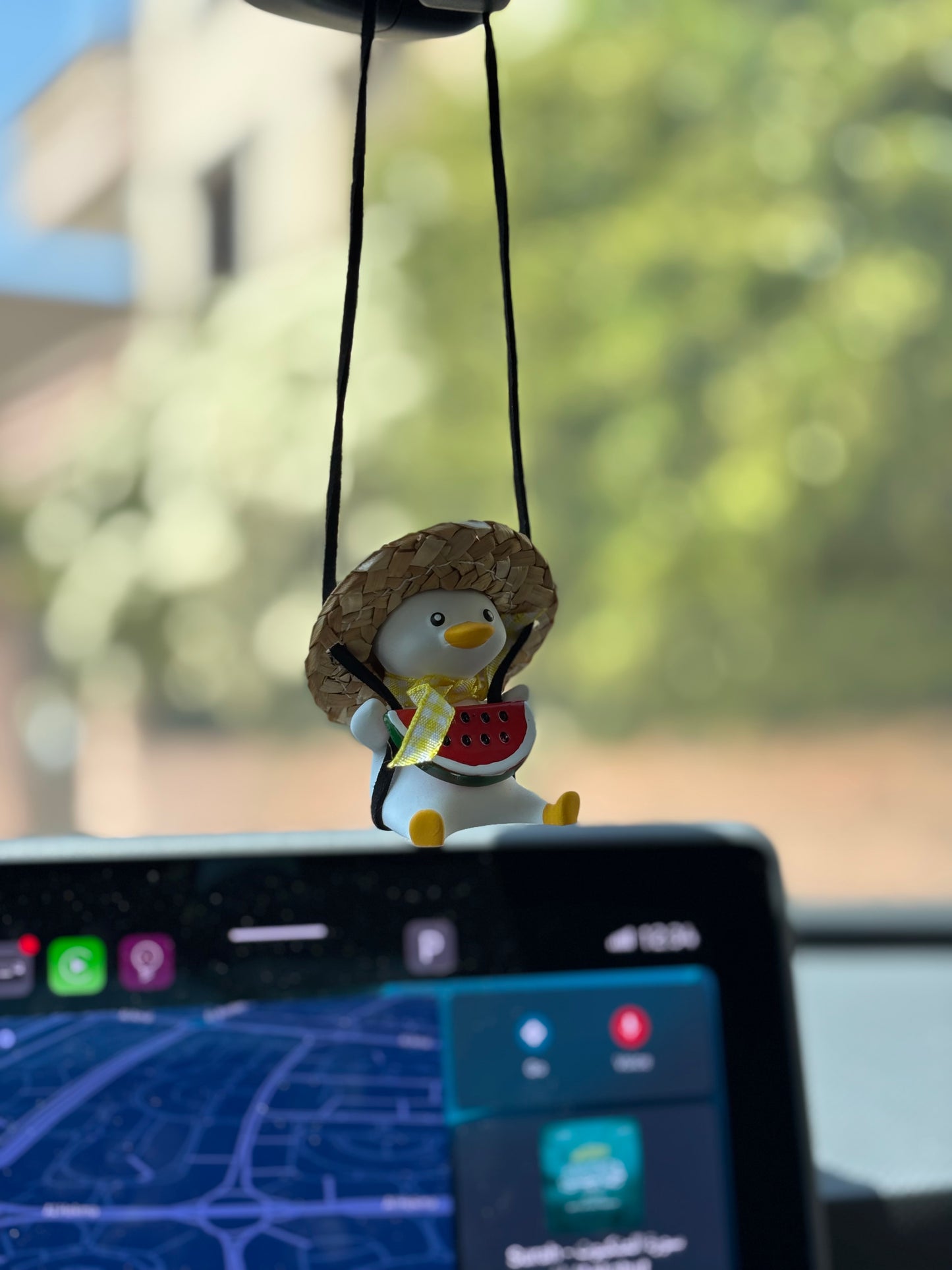 Watermelon Duck Mirror Pendant